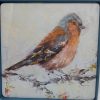 COASTERS - 4 IRISH GARDEN BIRDS - SOLD OUT - Image 3