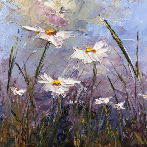 daisies by Karen Wilson