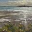 oil painting of Shenick island on Skerries South Beach Dublin Ireland Irish art